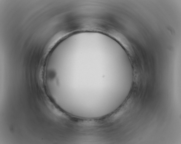 X0000113891094200910081803