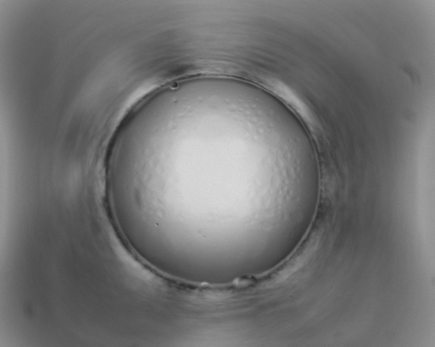 X0000113891095200910081803