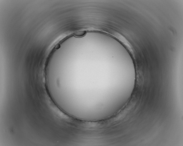 X0000113891096200910081803