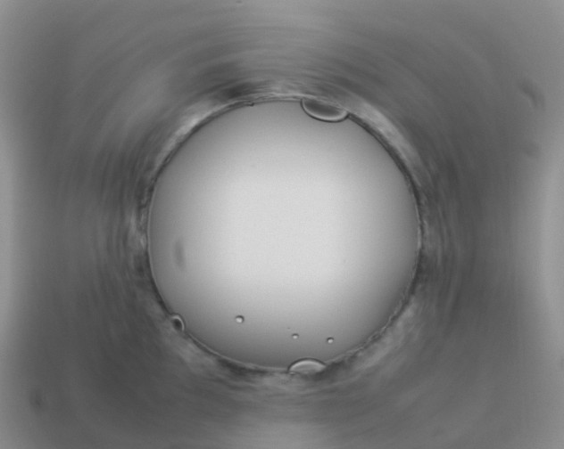 X0000113891097200910081803