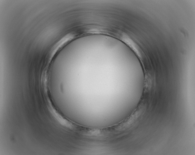 X0000113891098200910081803