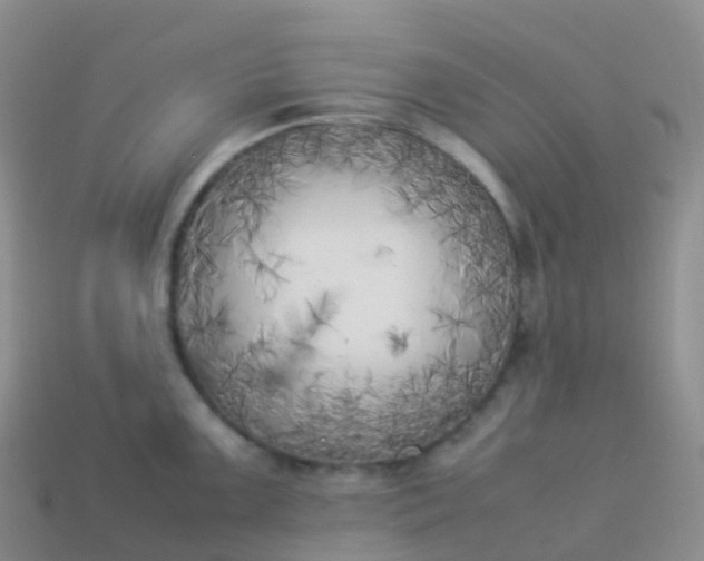 X0000113891099200910081803