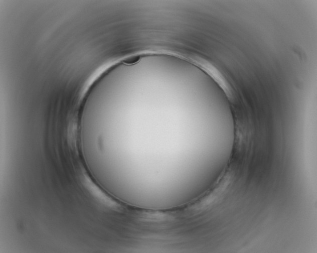 X0000113891100200910081803