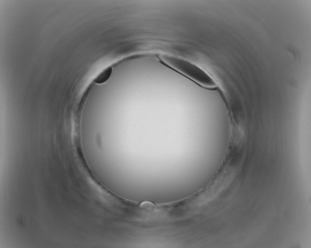 X0000113891101200910081803