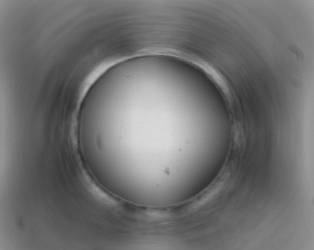 X0000113891102200910081803