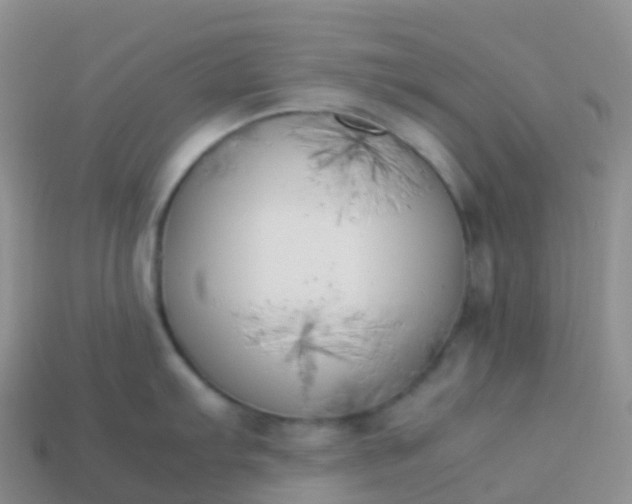 X0000113891103200910081803