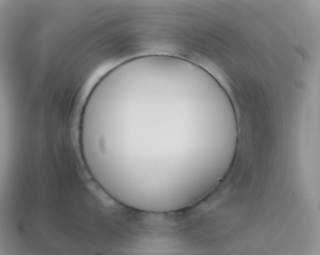 X0000113891104200910081803