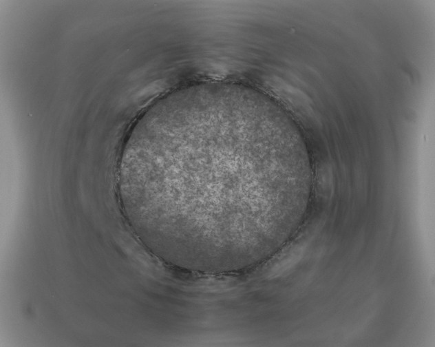 X0000113891105200910081802