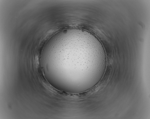 X0000113891106200910081802