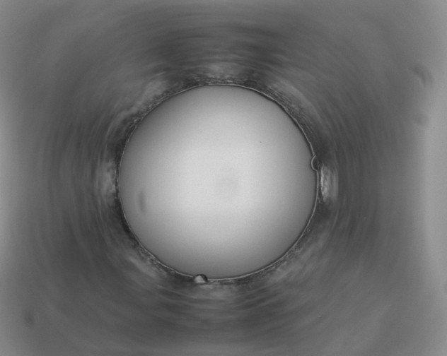 X0000113891107200910081802