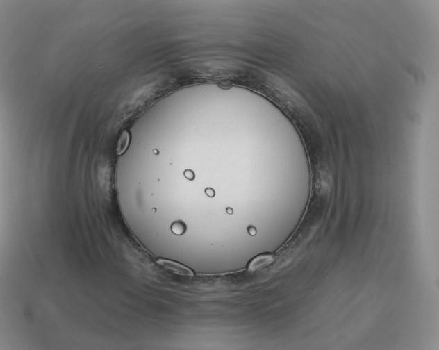 X0000113891108200910081802