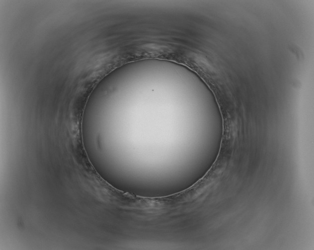 X0000113891109200910081802