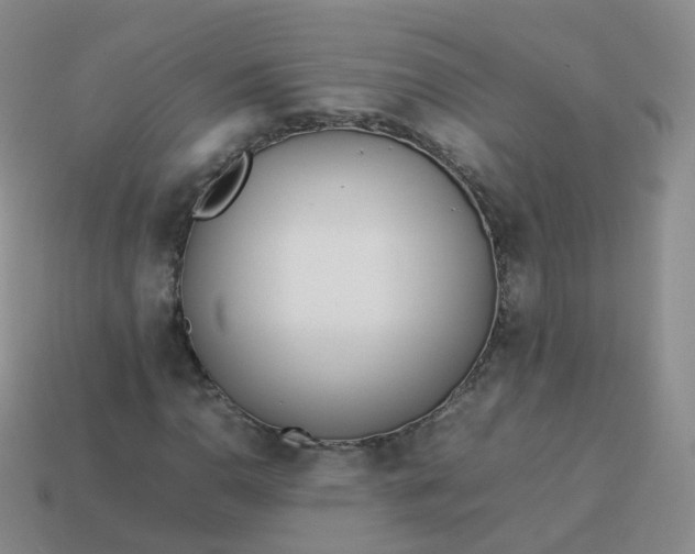 X0000113891110200910081802