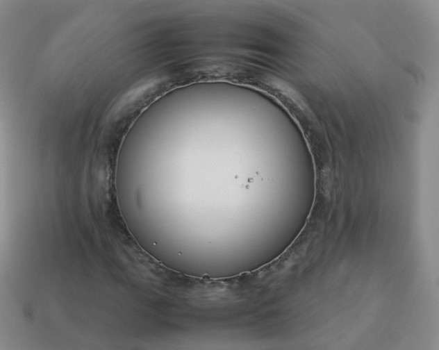 X0000113891111200910081802