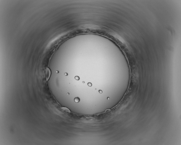 X0000113891112200910081802