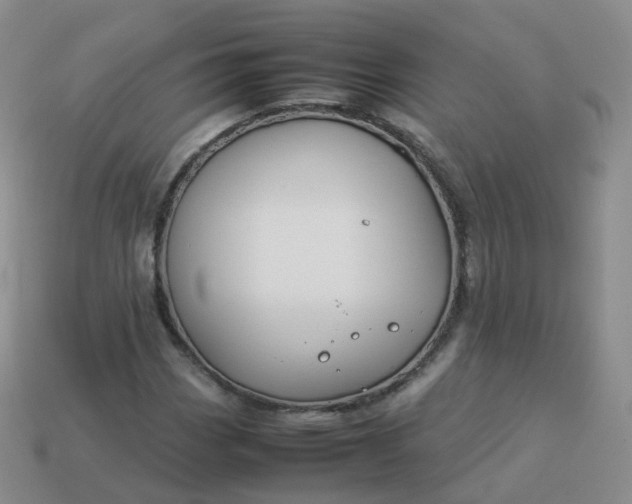 X0000113891113200910081802