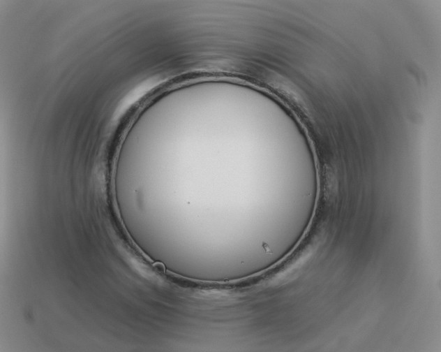 X0000113891114200910081802