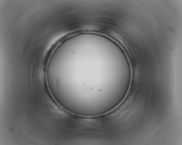 X0000113891115200910081802