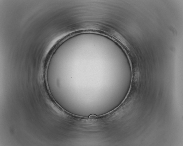 X0000113891116200910081802