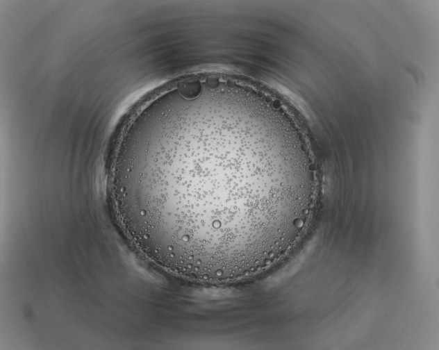 X0000113891117200910081802