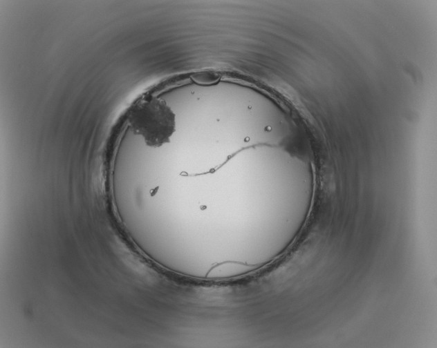 X0000113891118200910081802