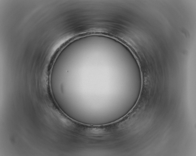 X0000113891119200910081802