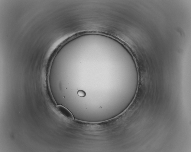 X0000113891120200910081802