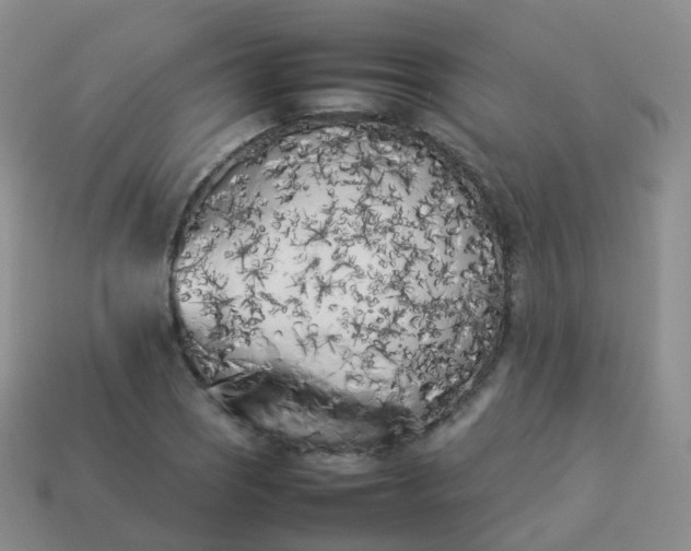 X0000113891121200910081802