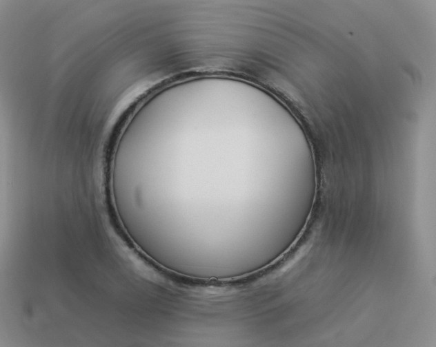 X0000113891122200910081802