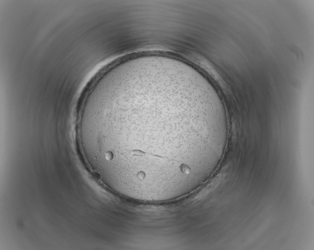 X0000113891124200910081802