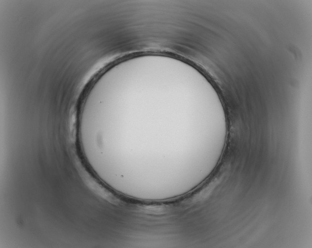 X0000113891126200910081802