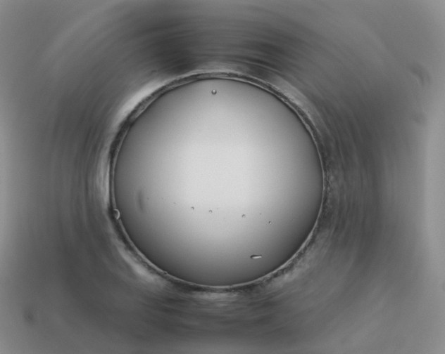 X0000113891127200910081802