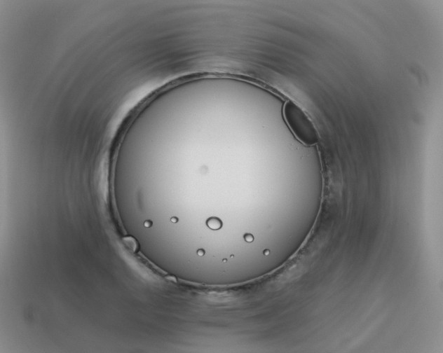 X0000113891128200910081802