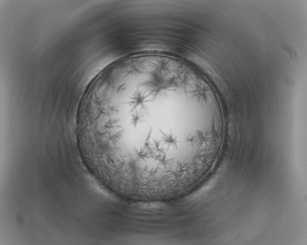 X0000113891129200910081802