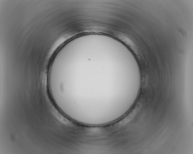 X0000113891130200910081802