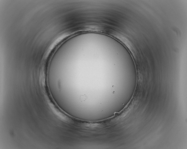 X0000113891131200910081802