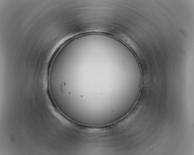 X0000113891132200910081802