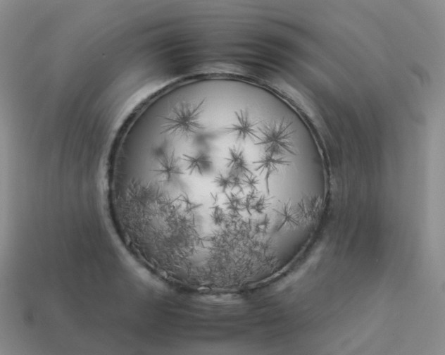 X0000113891133200910081802