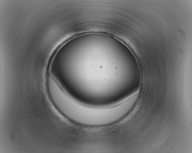 X0000113891134200910081802