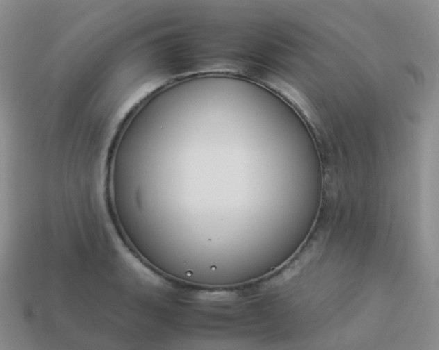 X0000113891135200910081802