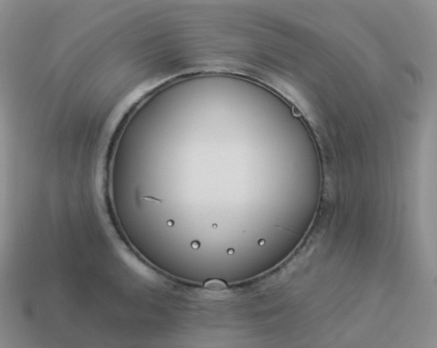 X0000113891136200910081802