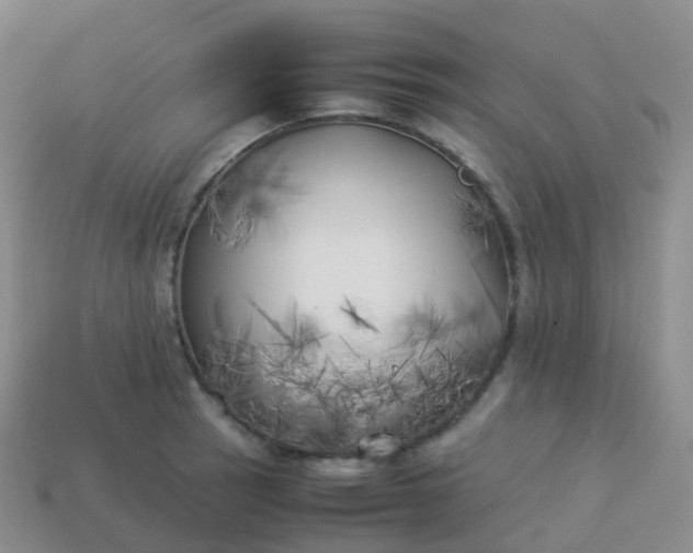 X0000113891137200910081803