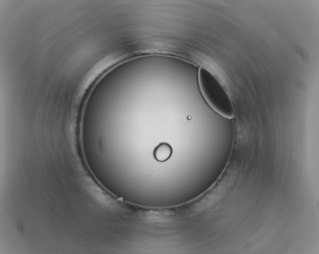 X0000113891138200910081803