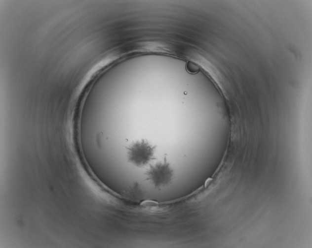 X0000113891139200910081803