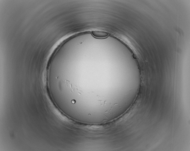 X0000113891140200910081803