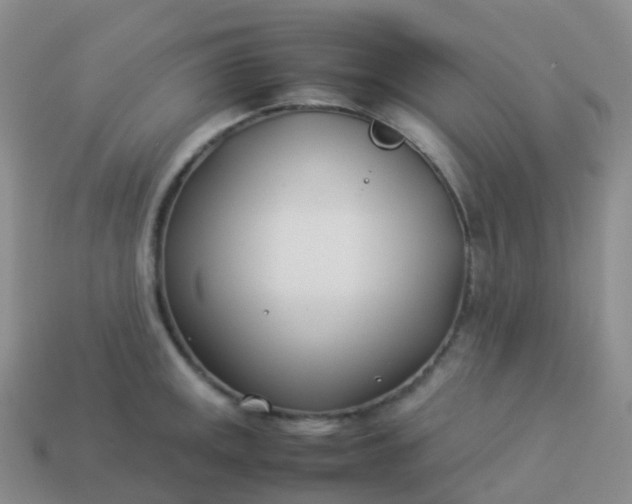 X0000113891141200910081803