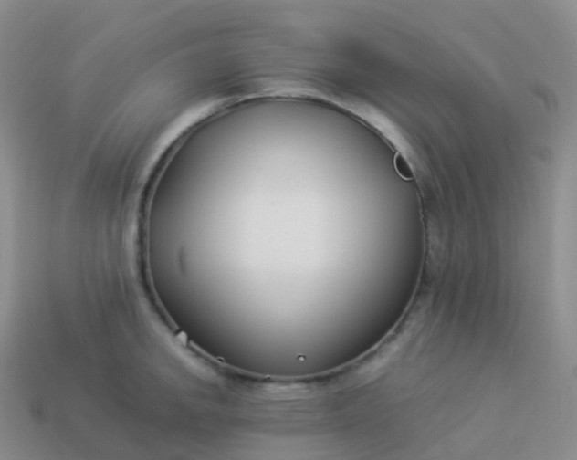 X0000113891142200910081803