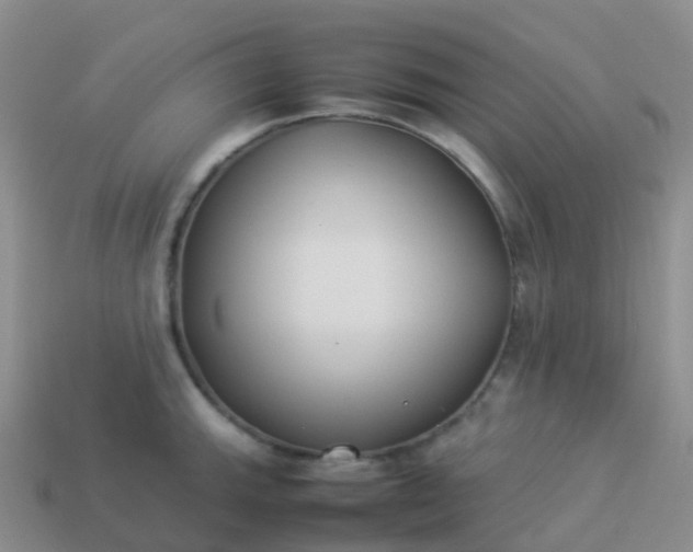 X0000113891143200910081803