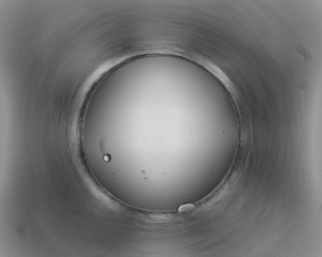 X0000113891144200910081803