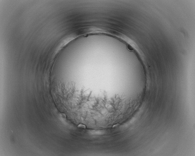 X0000113891145200910081803